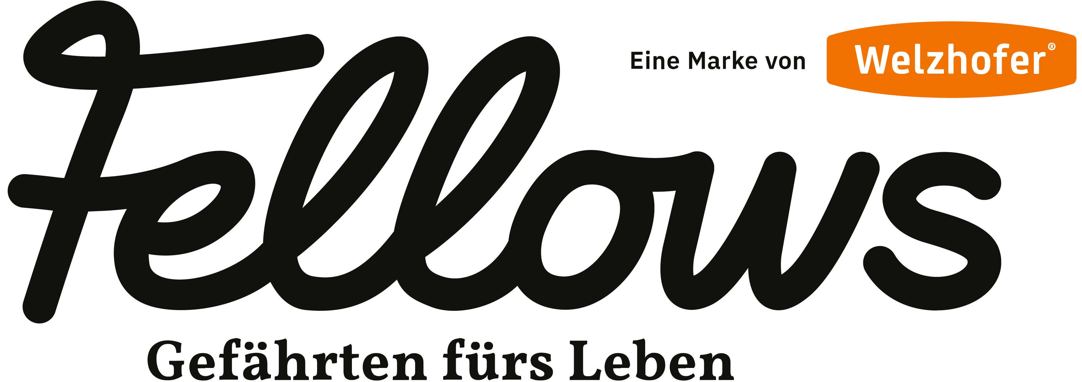 Fellows