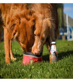 Miért lett a SLOOFIE a mi titkos fegyverünk?