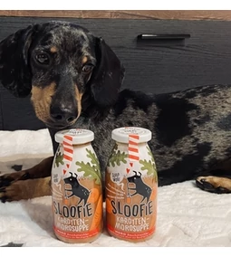 Miért tarts mindig otthon SLOOFIE Bio Moro levest?