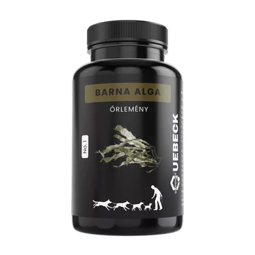 Quebeck Barna alga por 100G