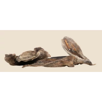 KIVO Szőrös bárányfül 100g