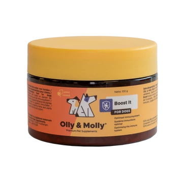 Boost It - Immunerő+