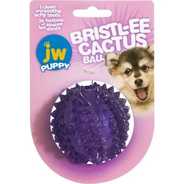 JW PUPPY BRISTLY Kaktusz labda