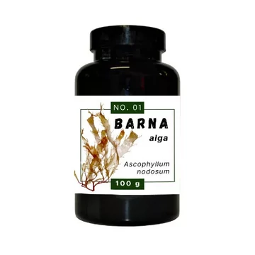 Quebeck Barna alga por 100G