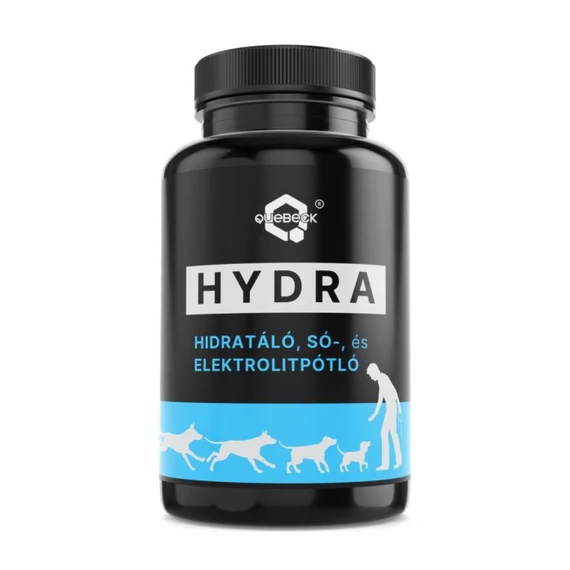 Quebeck HYDRA - hidrátáló-, sópótló-, elektrolitpótló 100g
