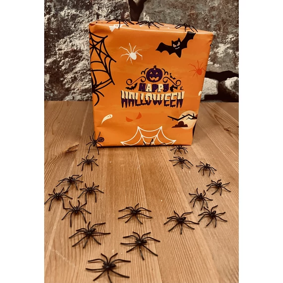SPOOKY BOX 