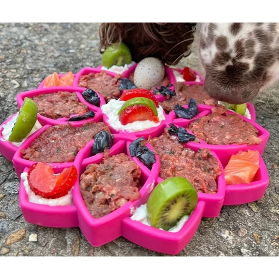 SodaPup® Mandala tál - pink