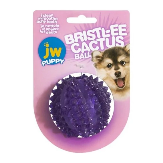 JW PUPPY BRISTLY Kaktusz labda