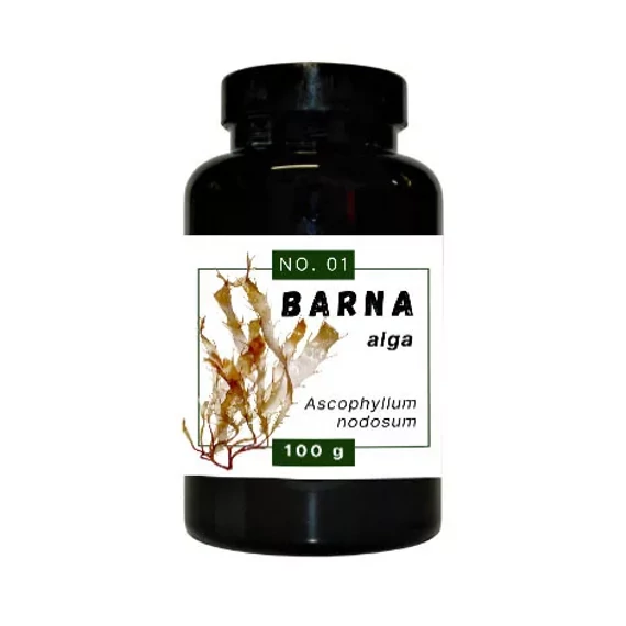 Quebeck Barna alga por 100G