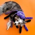 Kép 2/2 - ZippyPaws Halloween Grunterz lila pók plüss - KICSI