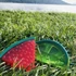 Kép 2/2 - Croci DOG TOY FRESH FRUITY (gyümölcs alakú hűsítő rágójáték) 11 CM