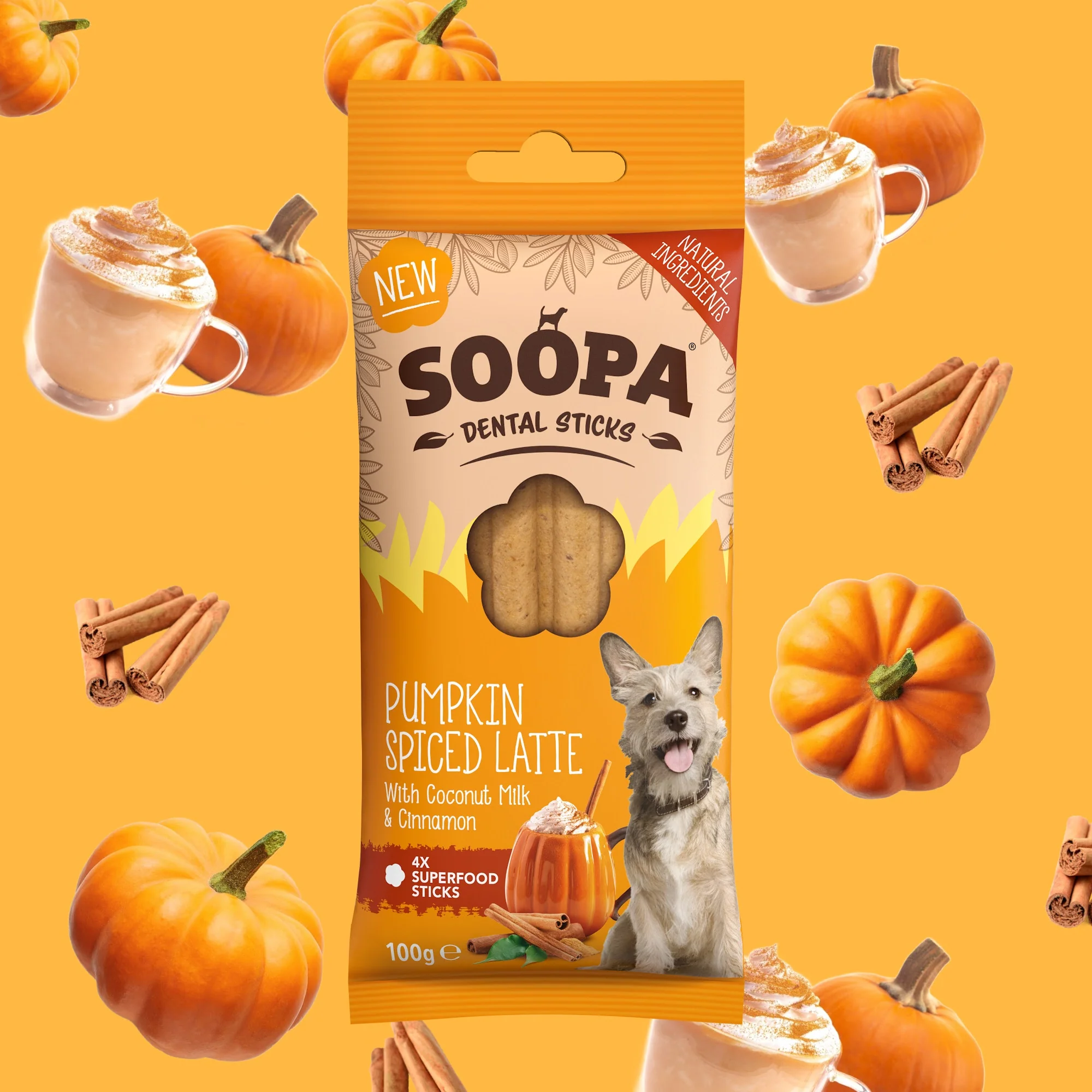 10+2 AKCIÓ SOOPA Pumpkin Spiced Latte Dental Sticks 