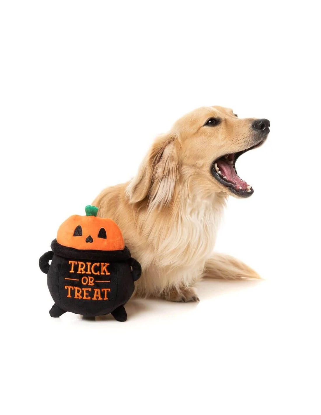 FuzzYard Halloween Toy - Trick Or Treat Cauldron
