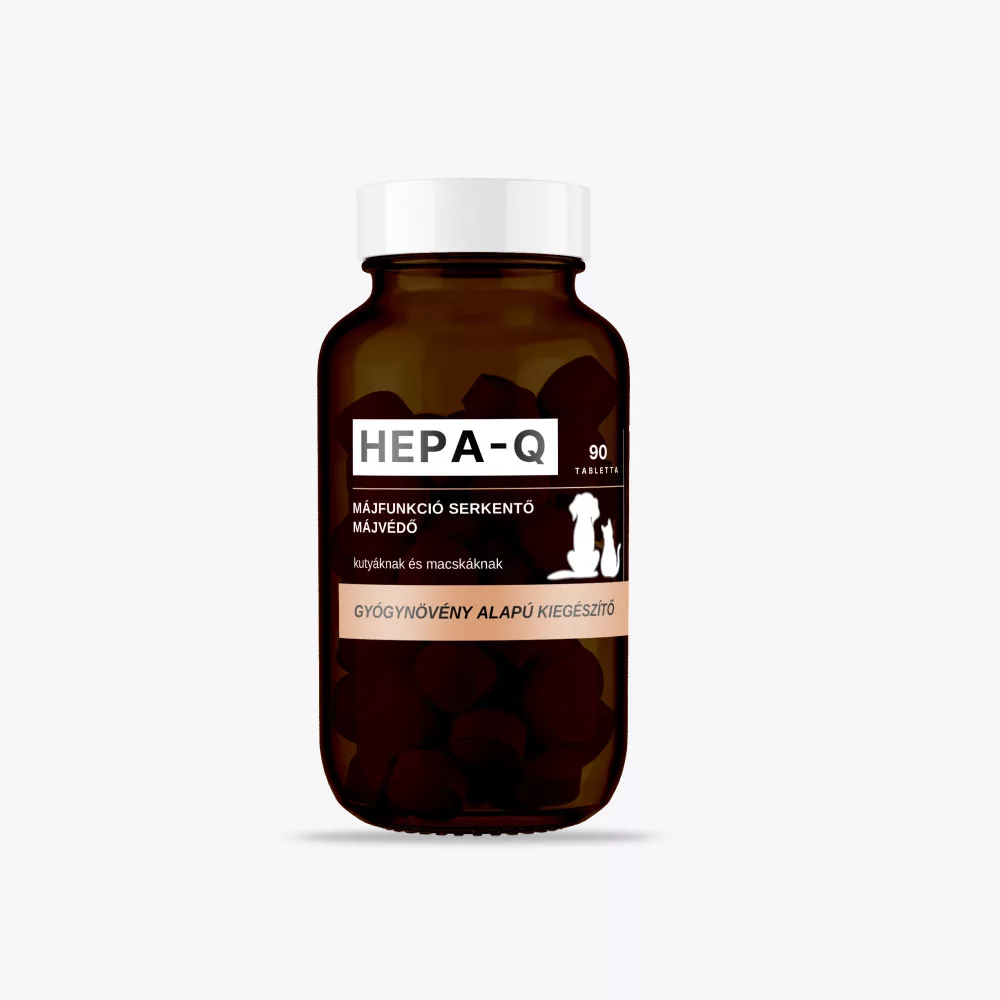 Quebeck Hepa-Q májfunkció serkentő tabletta 90 db - rendelésre